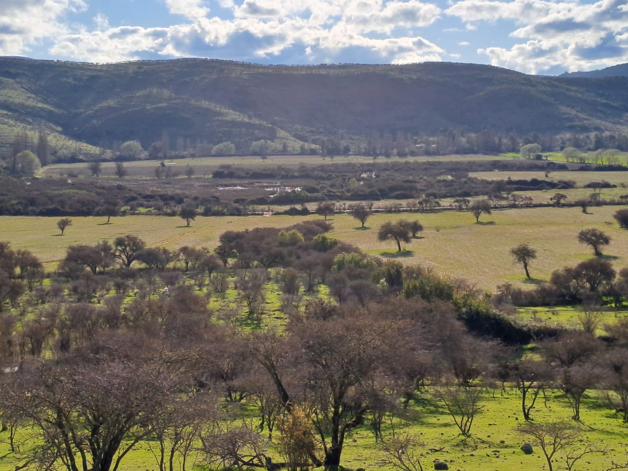 IMG-20240826-WA0127