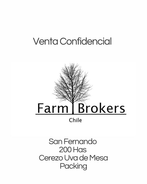 portada2